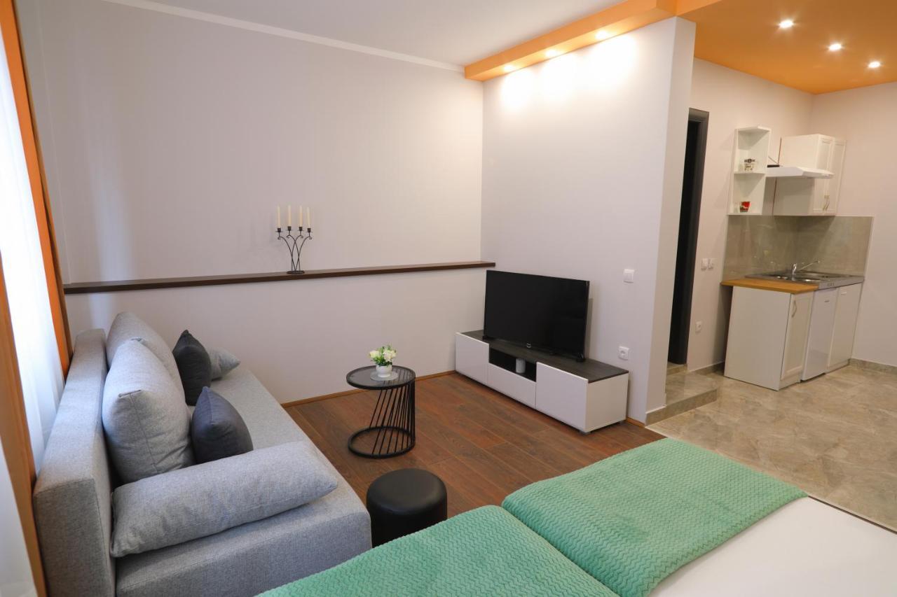 Fenix Apartments Sokobanja Extérieur photo