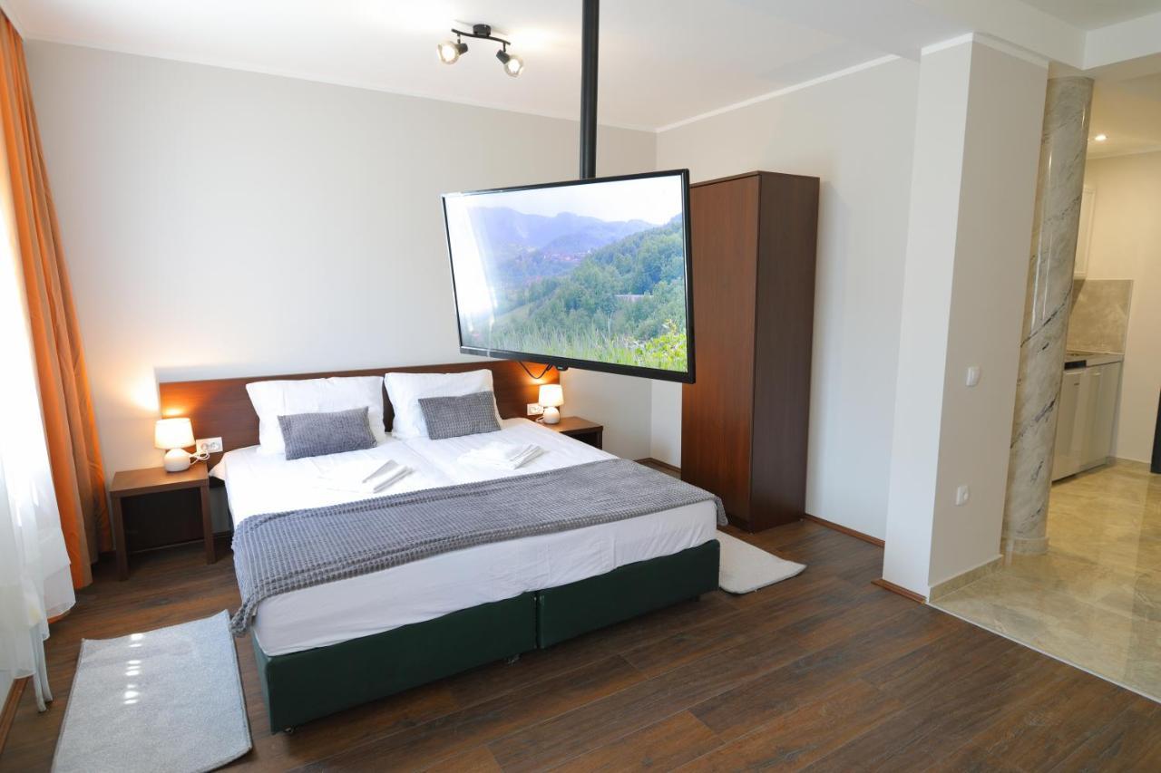 Fenix Apartments Sokobanja Extérieur photo