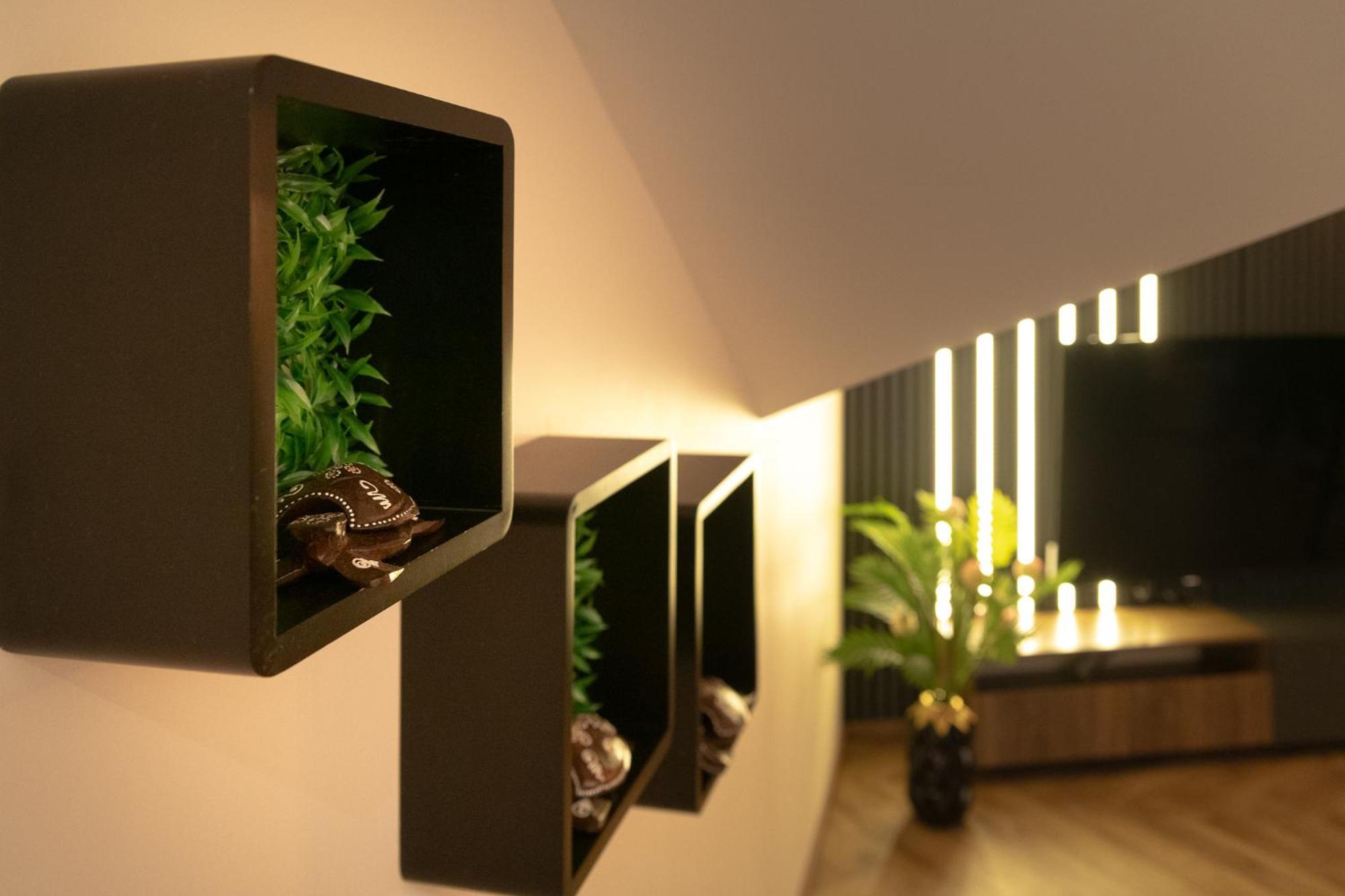 Fenix Apartments Sokobanja Extérieur photo